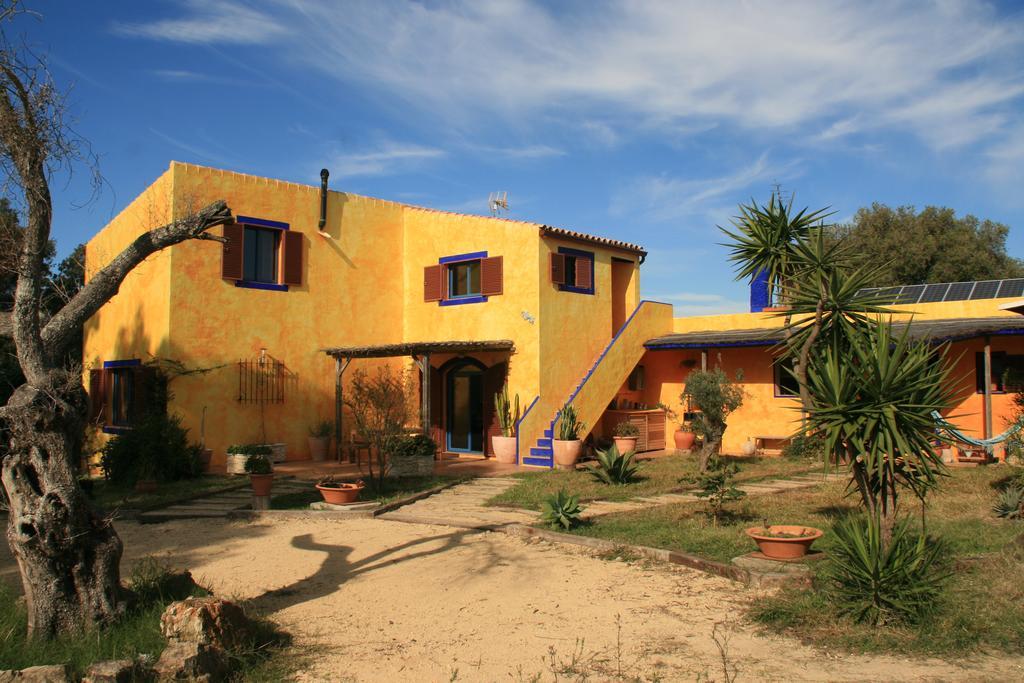 El Vuelo De La Libelula Apartment Barbate Ngoại thất bức ảnh